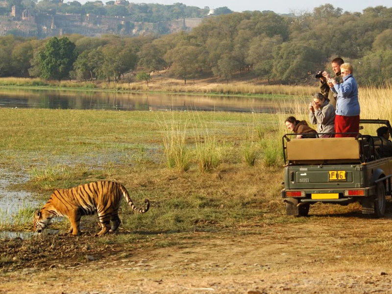 Golden Triangle Tour with Ranthambore Safari